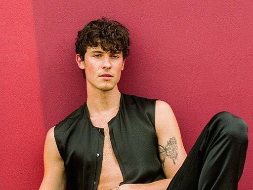 Shawn Mendes lança o single: “It’ll Be Okay”